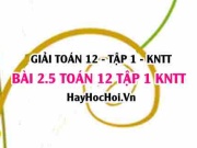 Bài 2.5 SGK Toán 12 tập 1 Kết nối tri thức